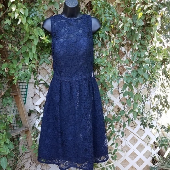 BILL LEVOKOF - Picture 2 of 6